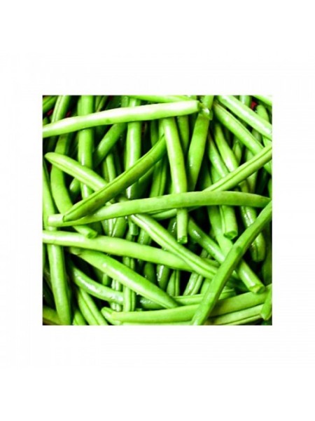 Колибри семян фасоли спаржевой (GL Seeds)