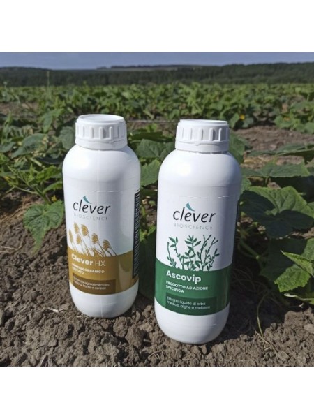 Конюшина НХ (СLEVER HX) органічне добриво (Clever Bioscience)