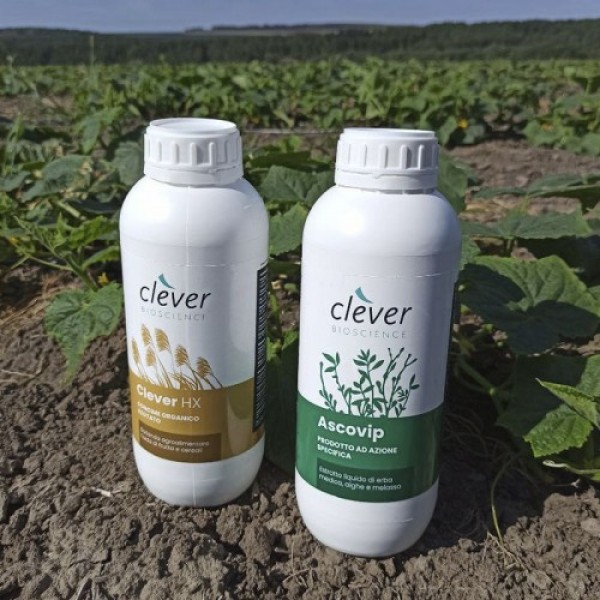 Клевер НХ (СLEVER HX) органическое удобрение (Clever Bioscience)