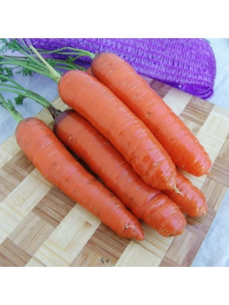Кортина F1 семян моркови (Moravoseed)