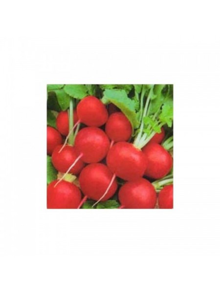 Корунд семян редиса (Satimex)
