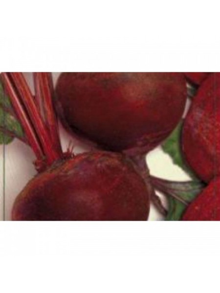 Красная вишня семян свеклы столовой (GL Seeds)