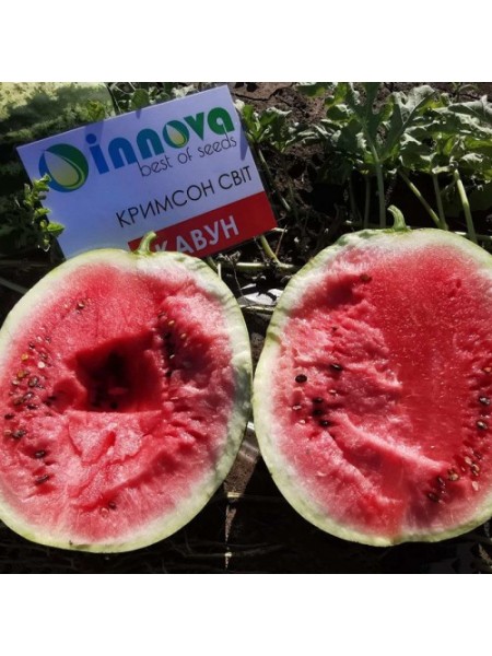 Крымсон Мир семян арбуза среднего (Innova Seeds)