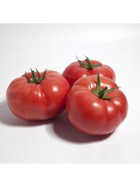КС 1157 F1 (KS 1157 F1) семена томата раннего (Kitano Seeds)