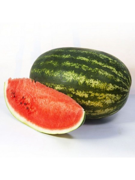 Шейни F1 (KS 163 F1) семена арбуза среднего (Kitano Seeds)
