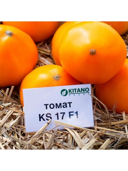 Нукси (КС 17, KS 17) F1 семена томата дет. среднепозднего 115-125 дн. окр. желтого 220-250г (Kitano Seeds)