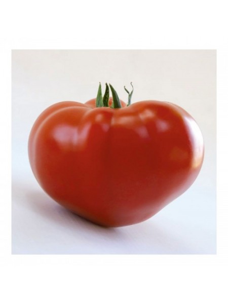 КС 204 F1 (KS 204 F1) семена томата индетерминантного (Kitano Seeds)