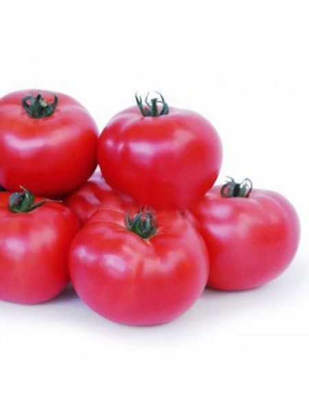 КС 307 F1 семена помидора индетерминантного (Kitano Seeds)