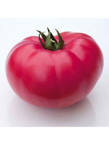 КС 3811 F1 (KS 3811 F1) насіння томату індет. рож. (Kitano Seeds)