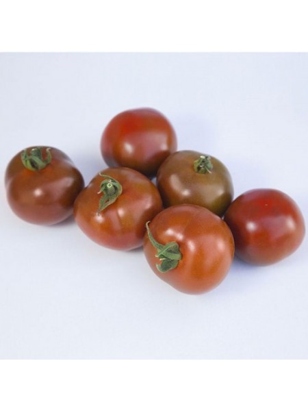 КС 3900 F1 (KS 3900 F1) семена помидора индетерминантного (Kitano Seeds)