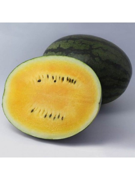 КС 500 F1 (KS 500 F1) семена желтого арбуза (Kitano Seeds)