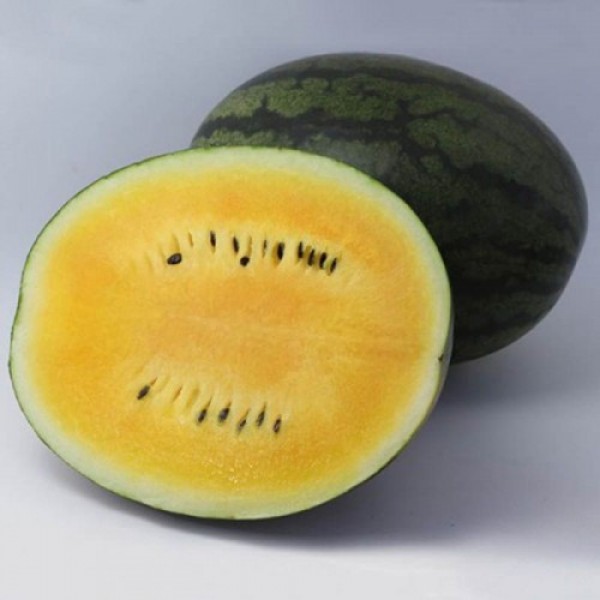 КС 500 F1 (KS 500 F1) семена желтого арбуза (Kitano Seeds)