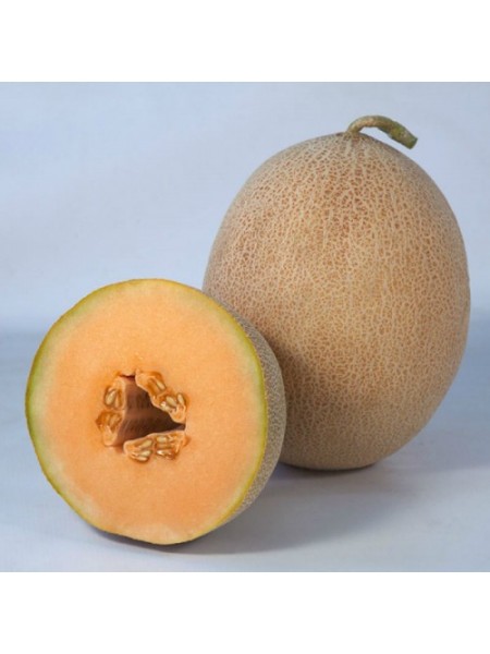 Трибека F1 (KS 6147 F1) семена дыни (Kitano Seeds)