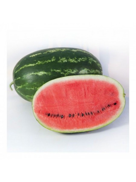 КС 632 F1 (KS 632 F1) семена арбуза раннего (Kitano Seeds)