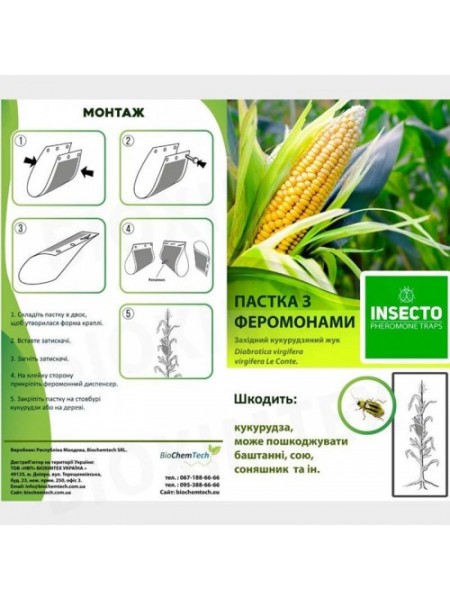 Кукурузный жук феромонная ловушка (БИОхимтех)