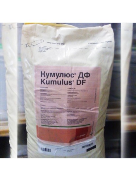 Фунгицид Кумулюс ДФ – BASF