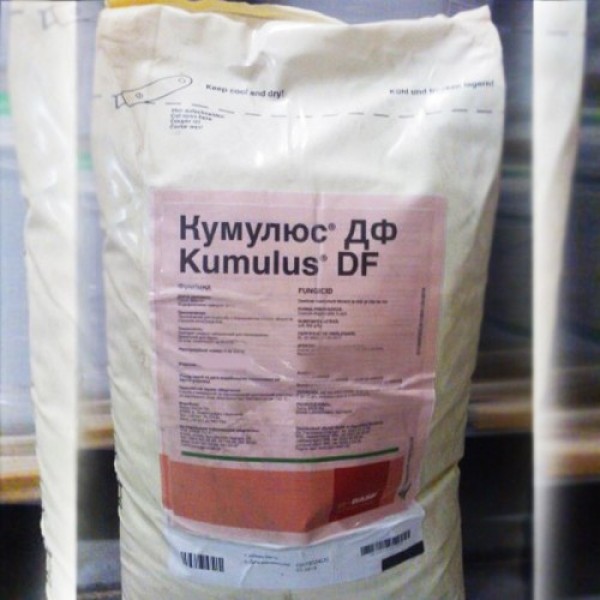 Фунгицид Кумулюс ДФ – BASF