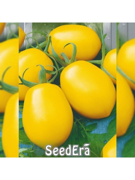 Лимон-Лиана семена помидора индетерминантного (Seedera)
