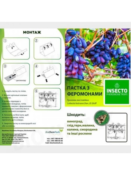 Листовийка кирпичная феромонная ловушка (БИОхимтех)