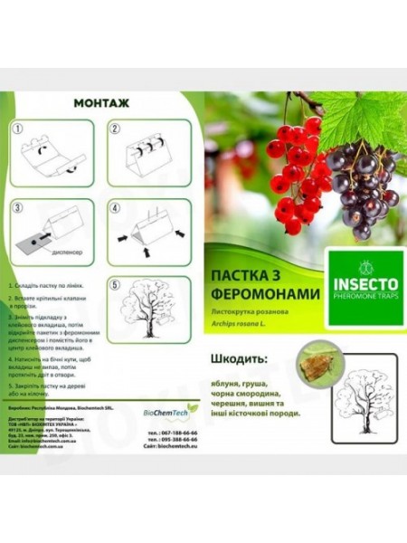 Листовийка розановая феромонная ловушка (БИОхимтех)