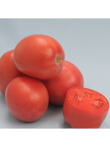 Камелот (LS 1264) F1 семена помидора детерминантного (Lucky Seed)