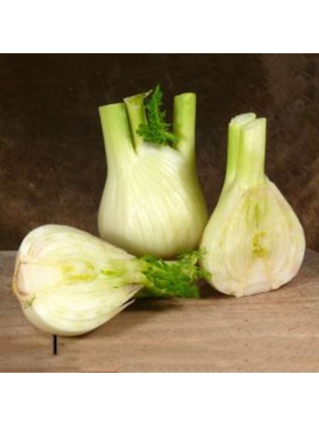 Мамонт семян фенхеля (Hortus)