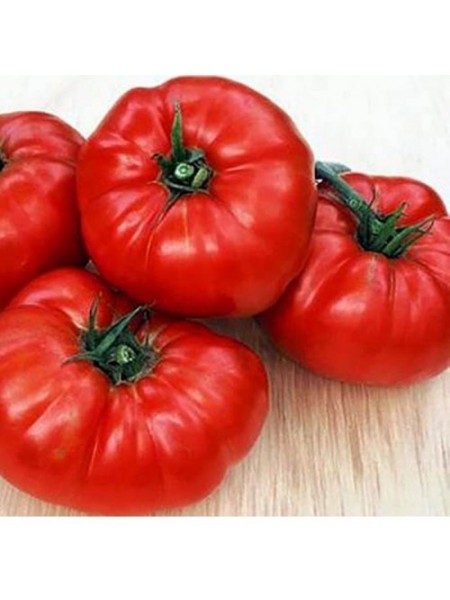 Медвежья лапа семян помидора индетерминантного (ТМ Вкусный)