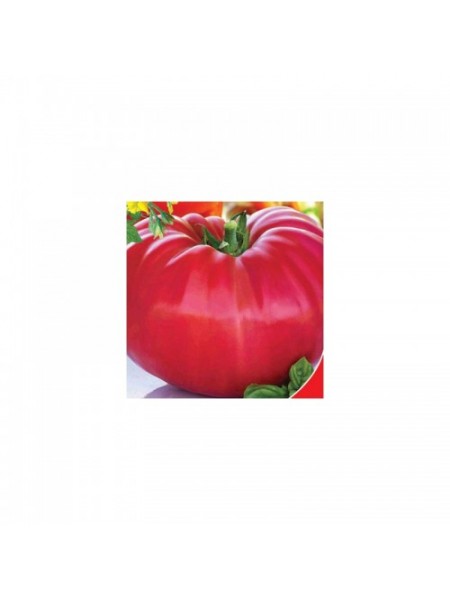 Миллионер семян помидора индетерминантного (GL Seeds)