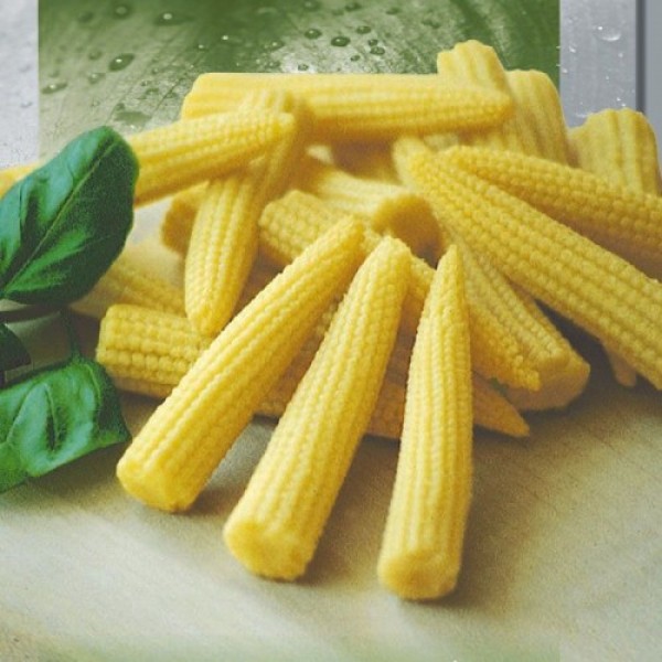 Миникорн семян мини-кукурузы сахарной (Seedera)