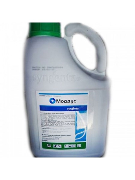 Моддус 250 ЕС регулятор роста (Syngenta)