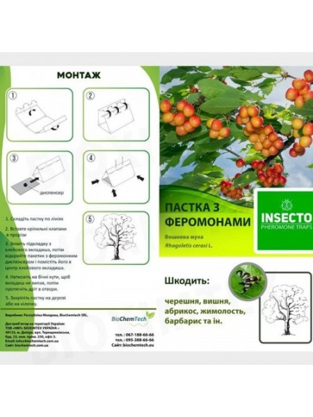Муха вишнева феромонна пастка (БІОхімтех)