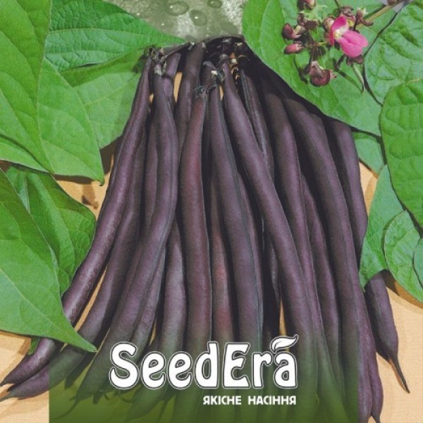 Парпл Типичные семена фасоли спаржевой (Seedera)