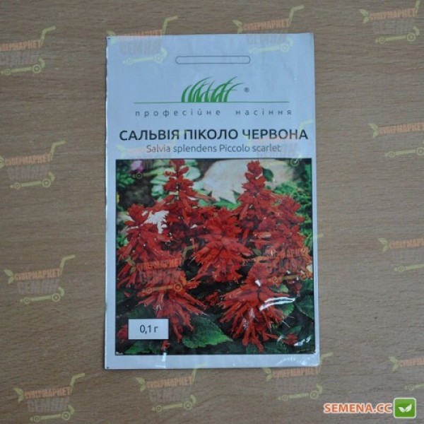 Пікколо червоний (red) насіння сальвії (Hem Zaden)