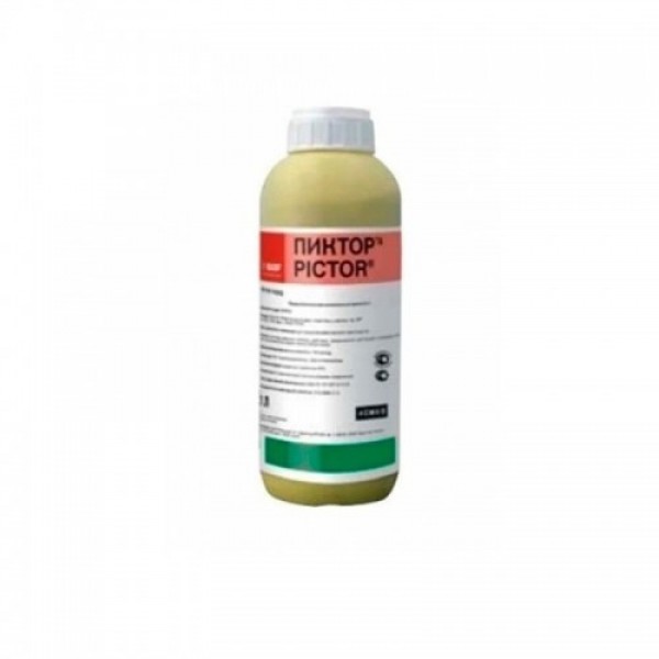 Фунгицид Пиктор - BASF