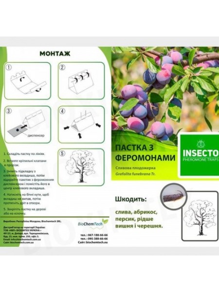 Плодожорка сливовая феромонная ловушка (БИОхимтех)