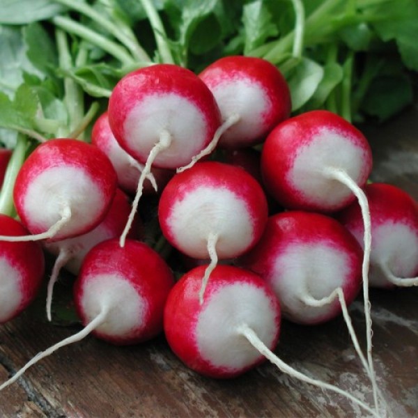 Полонеза (Дуо) семена редиса (Moravoseed)