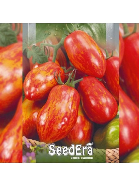 Смугаста вершка насіння помідора індетермінантного (Seedera)