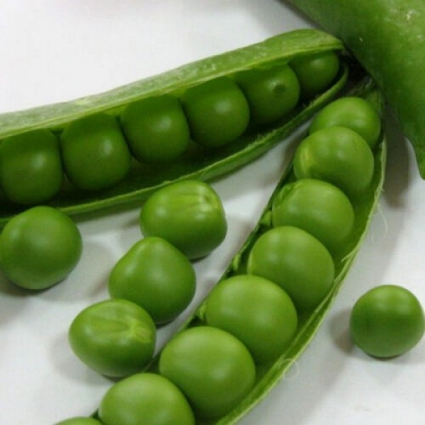 Продиджи семян гороха (Lark Seeds)