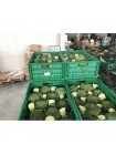 Самоа F1 семена капусты брокколи (Cora Seeds)