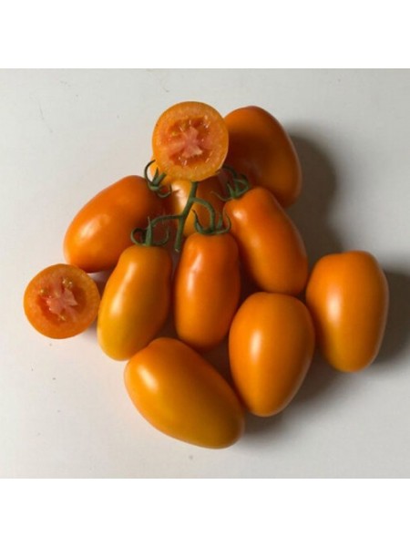 Ремембе F1 семена помидора индетерминантного (Lark Seeds)