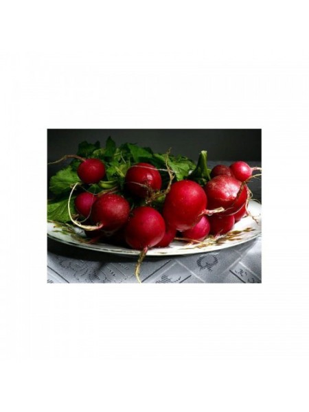 Родос семян редиса (Satimex)
