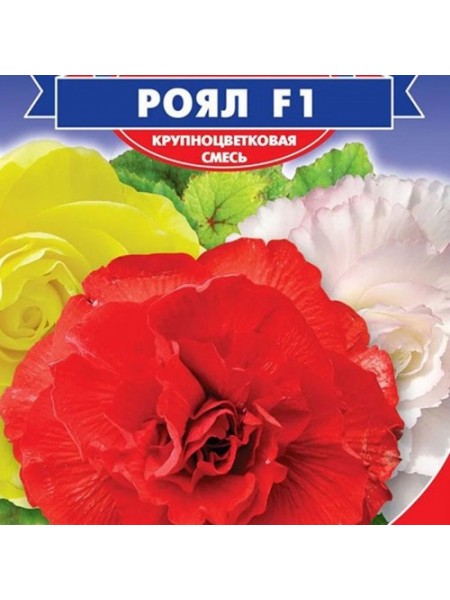 Роял F1 смесь (mix) семян бегонии (GL Seeds)