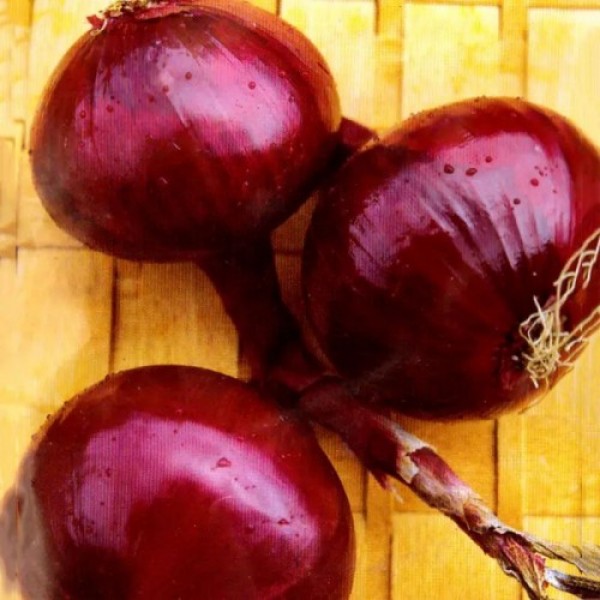 Рубін насіння цибулі ріпчастої червоної (Hortus)