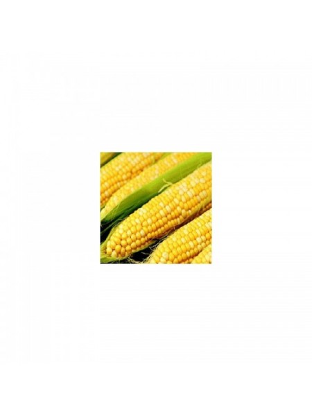 Саммит F1 семена кукурузы суперсладкой Sh2 биколор (Dorsing Seeds)