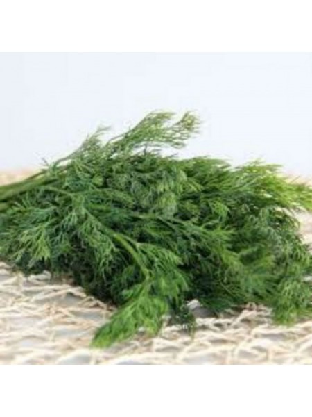 Скиф семян укропа (GL Seeds)