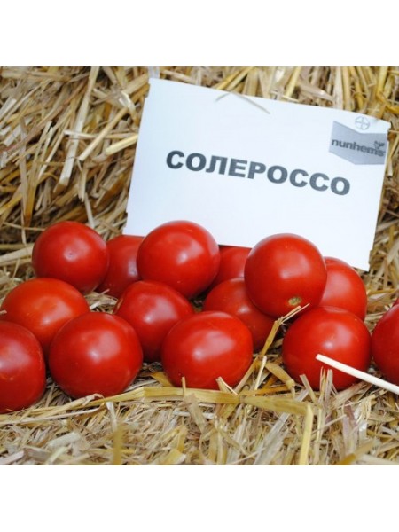Солероссо F1 семена помидора дет. ультрараннего 90-95 дн. слив. 50-55 гр. дражированное красного (Nunhems)