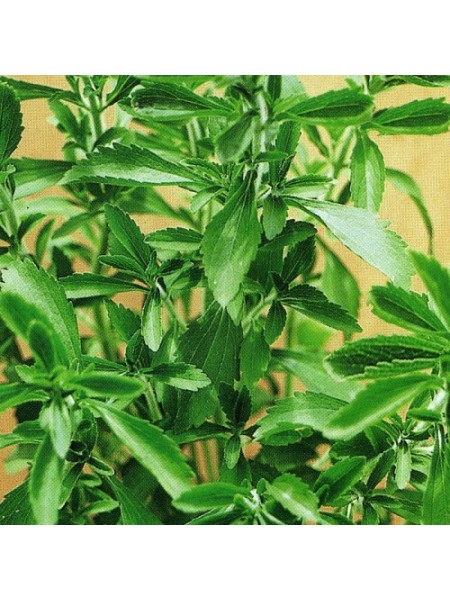 Стевия семян (Satimex)