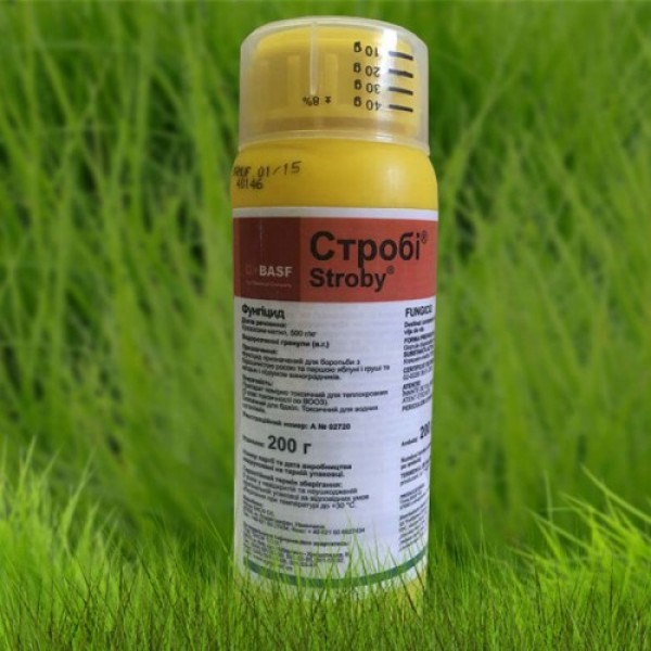 Фунгицид Строби – BASF