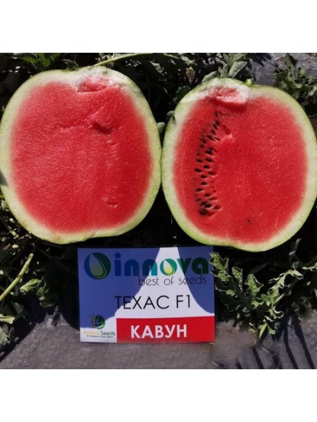 Техас F1 семян арбуза раннего (Innova Seeds)