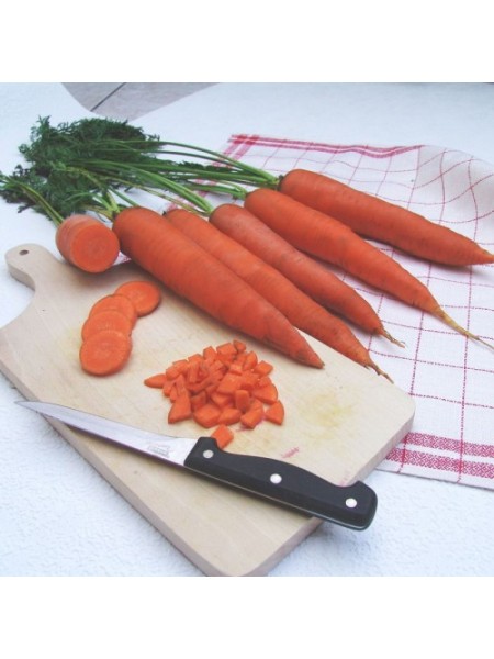 Тинг семян моркови (Moravoseed)